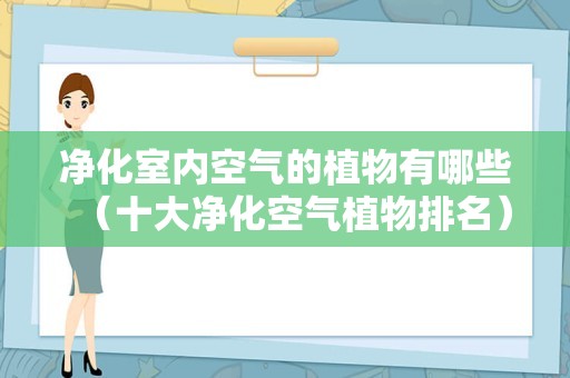 净化室内空气的植物有哪些（十大净化空气植物排名）