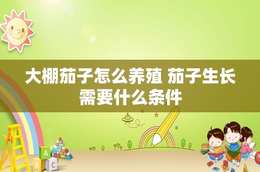 大棚茄子怎么养殖 茄子生长需要什么条件