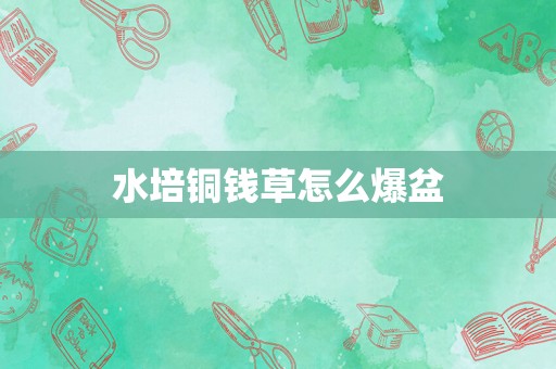 水培铜钱草怎么爆盆