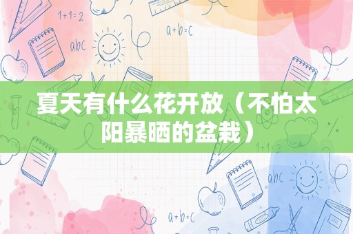 夏天有什么花开放（不怕太阳暴晒的盆栽）