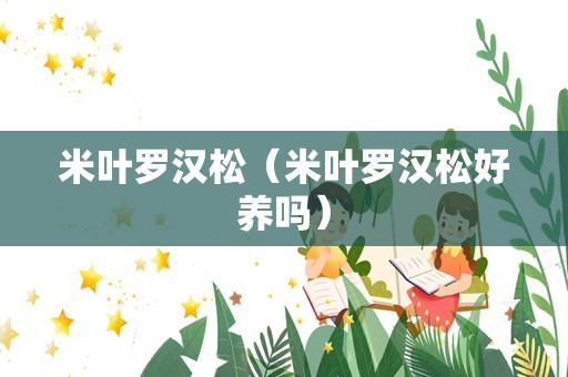 米叶罗汉松（米叶罗汉松好养吗）