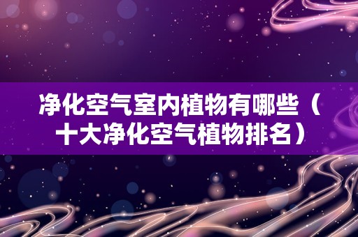 净化空气室内植物有哪些（十大净化空气植物排名）