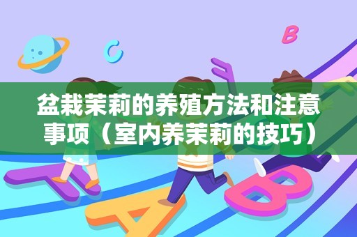 盆栽茉莉的养殖方法和注意事项（室内养茉莉的技巧）