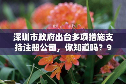 深圳市政府出台多项措施支持注册公司，你知道吗？9770