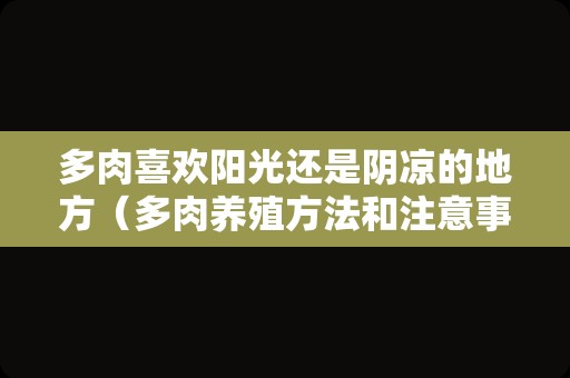 多肉喜欢阳光还是阴凉的地方（多肉养殖方法和注意事项）