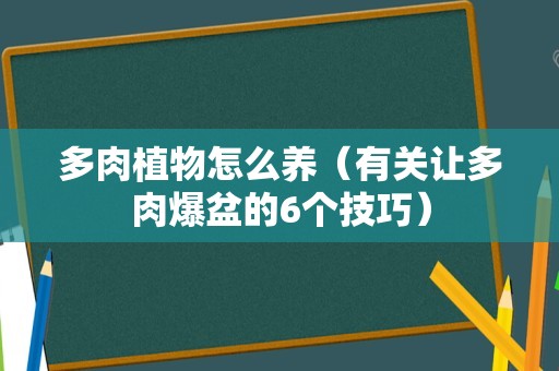 多肉植物怎么养（有关让多肉爆盆的6个技巧）