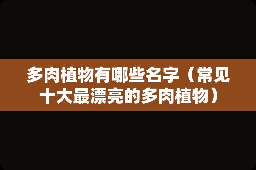 多肉植物有哪些名字（常见十大最漂亮的多肉植物）