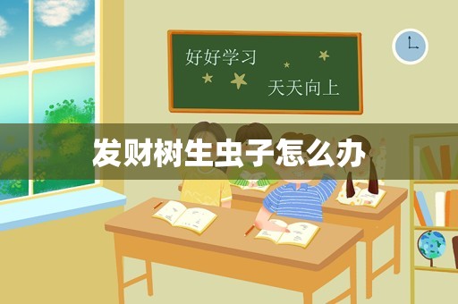 发财树生虫子怎么办