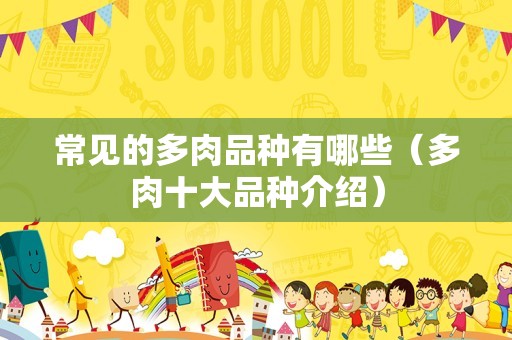 常见的多肉品种有哪些（多肉十大品种介绍）