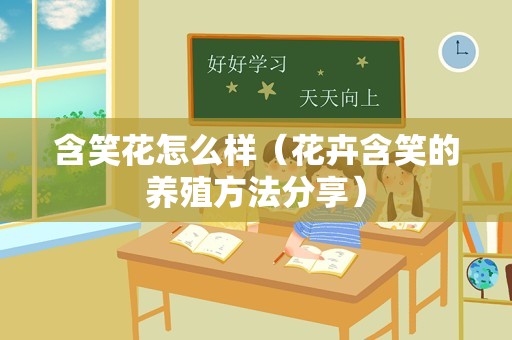 含笑花怎么样（花卉含笑的养殖方法分享）