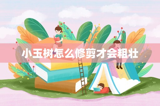 小玉树怎么修剪才会粗壮