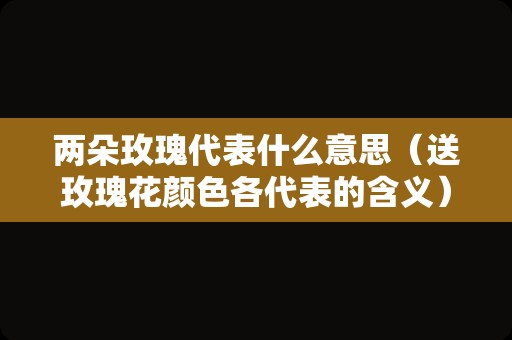 两朵玫瑰代表什么意思（送玫瑰花颜色各代表的含义）