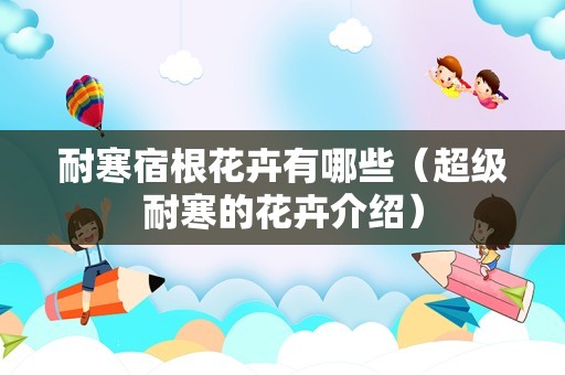 耐寒宿根花卉有哪些（超级耐寒的花卉介绍）