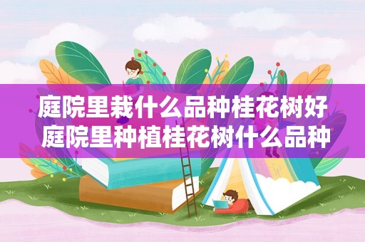 庭院里栽什么品种桂花树好 庭院里种植桂花树什么品种好