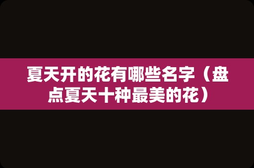 夏天开的花有哪些名字（盘点夏天十种最美的花）