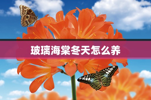玻璃海棠冬天怎么养