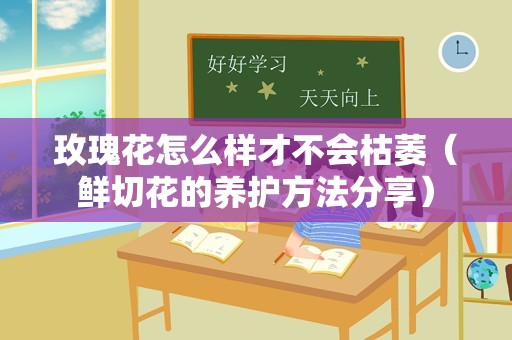 玫瑰花怎么样才不会枯萎（鲜切花的养护方法分享）