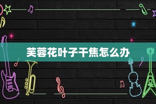 芙蓉花叶子干焦怎么办