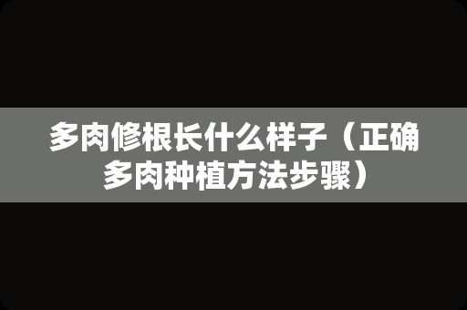 多肉修根长什么样子（正确多肉种植方法步骤）