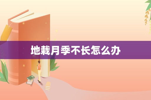 地栽月季不长怎么办