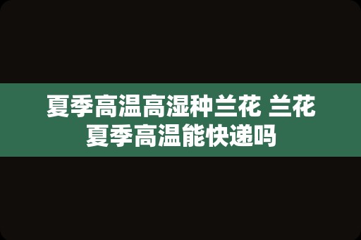 夏季高温高湿种兰花 兰花夏季高温能快递吗