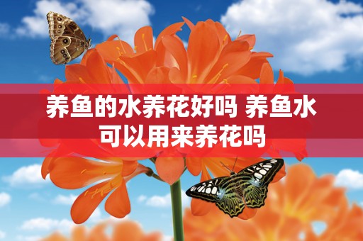 养鱼的水养花好吗 养鱼水可以用来养花吗