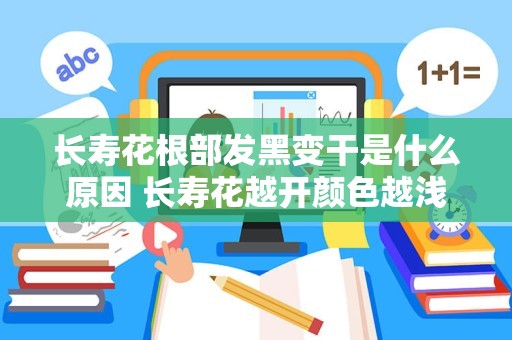 长寿花根部发黑变干是什么原因 长寿花越开颜色越浅是什么原因