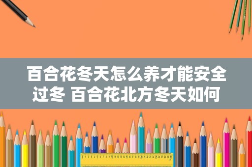 百合花冬天怎么养才能安全过冬 百合花北方冬天如何过冬