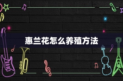 惠兰花怎么养殖方法