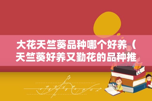 大花天竺葵品种哪个好养（天竺葵好养又勤花的品种推荐）