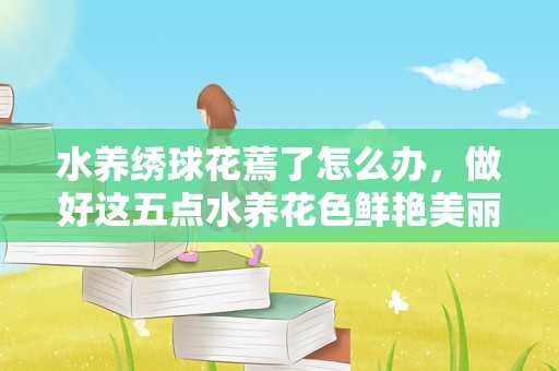 水养绣球花蔫了怎么办，做好这五点水养花色鲜艳美丽