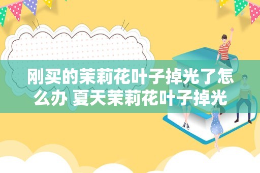 刚买的茉莉花叶子掉光了怎么办 夏天茉莉花叶子掉光了怎么救