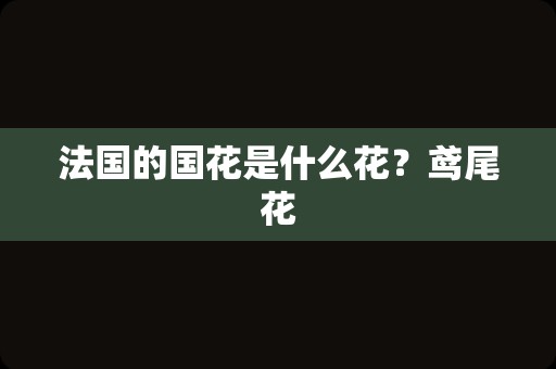 法国的国花是什么花？鸢尾花