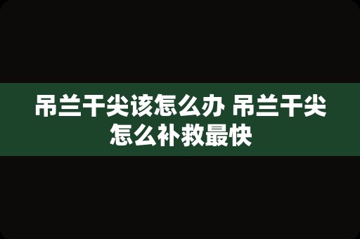 吊兰干尖该怎么办 吊兰干尖怎么补救最快