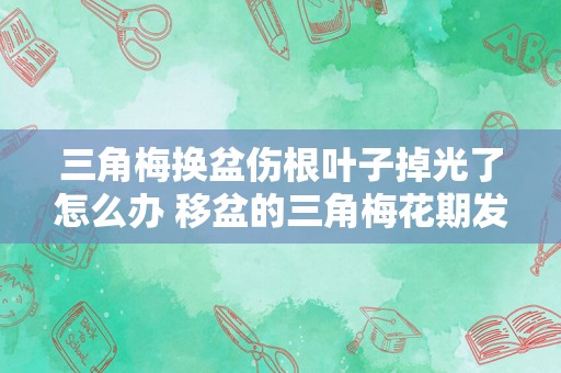 三角梅换盆伤根叶子掉光了怎么办 移盆的三角梅花期发蔫掉叶怎么办