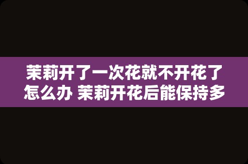 茉莉开了一次花就不开花了怎么办 茉莉开花后能保持多久