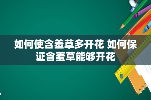 如何使含羞草多开花 如何保证含羞草能够开花