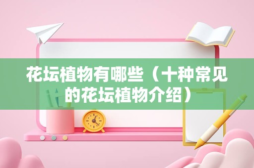 花坛植物有哪些（十种常见的花坛植物介绍）