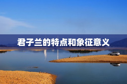 君子兰的特点和象征意义