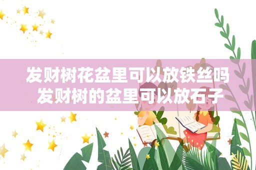 发财树花盆里可以放铁丝吗 发财树的盆里可以放石子吗