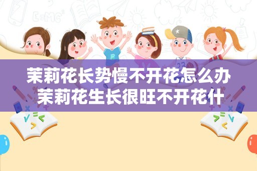茉莉花长势慢不开花怎么办 茉莉花生长很旺不开花什么原因