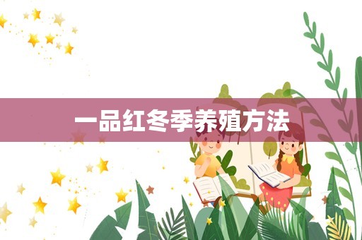 一品红冬季养殖方法