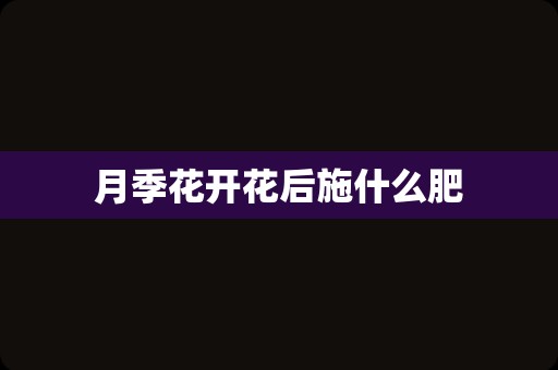 月季花开花后施什么肥