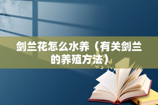 剑兰花怎么水养（有关剑兰的养殖方法）