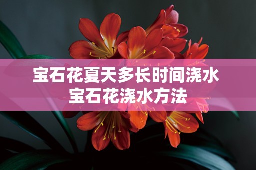 宝石花夏天多长时间浇水 宝石花浇水方法