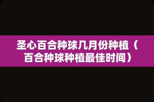 圣心百合种球几月份种植（百合种球种植最佳时间）