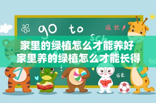 家里的绿植怎么才能养好 家里养的绿植怎么才能长得快