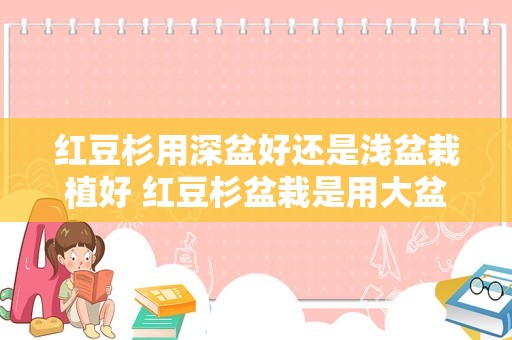 红豆杉用深盆好还是浅盆栽植好 红豆杉盆栽是用大盆还是小盆