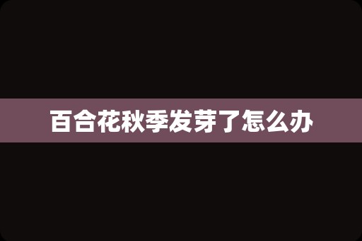 百合花秋季发芽了怎么办
