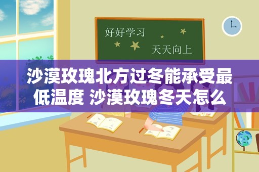 沙漠玫瑰北方过冬能承受最低温度 沙漠玫瑰冬天怎么养护
